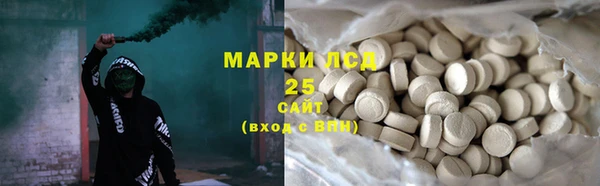 ГАЛЛЮЦИНОГЕННЫЕ ГРИБЫ Волосово