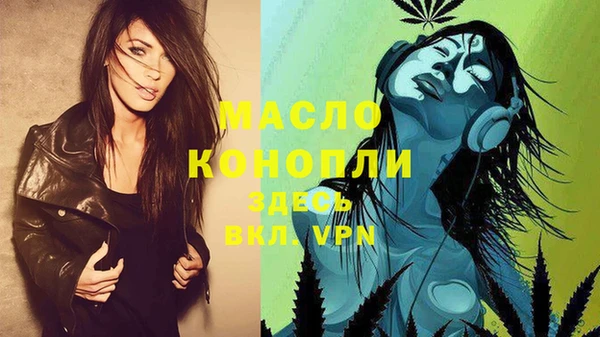 дживик Вязьма