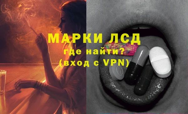 дживик Вязьма