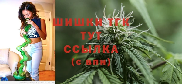 дживик Вязьма
