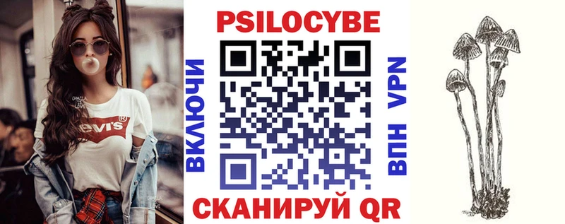 Псилоцибиновые грибы Psilocybe  Ногинск 
